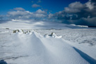 Fair Isle